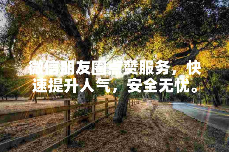 微信朋友圈点赞服务，快速提升人气，安全无忧。