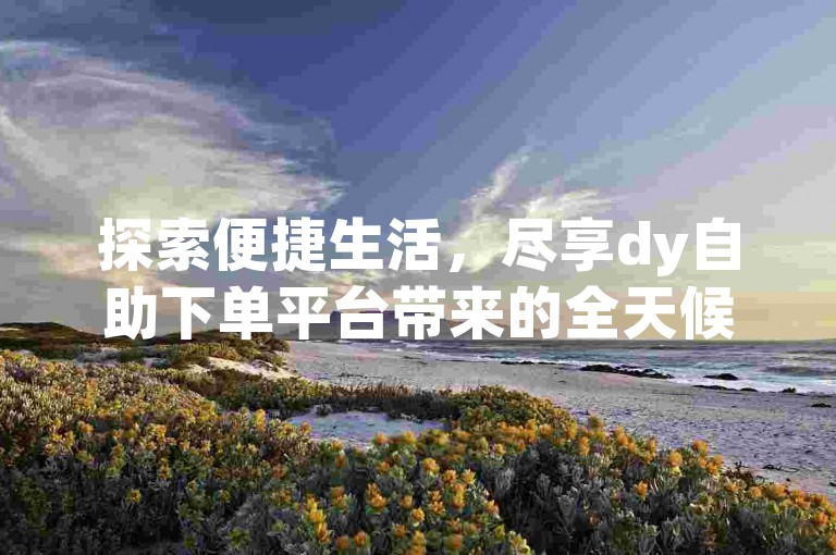 探索便捷生活，尽享dy自助下单平台带来的全天候服务。