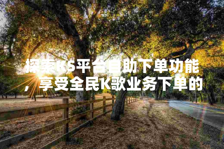 探索KS平台自助下单功能，享受全民K歌业务下单的便捷与低价优势。