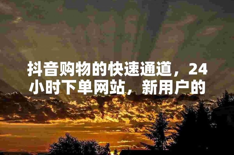 抖音购物的快速通道，24小时下单网站，新用户的理想选择！