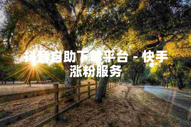 抖音自助下单平台 - 快手涨粉服务