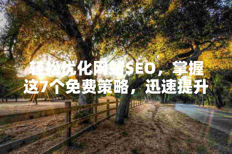 轻松优化网站SEO，掌握这7个免费策略，迅速提升你的网页在搜索引擎中的排名。