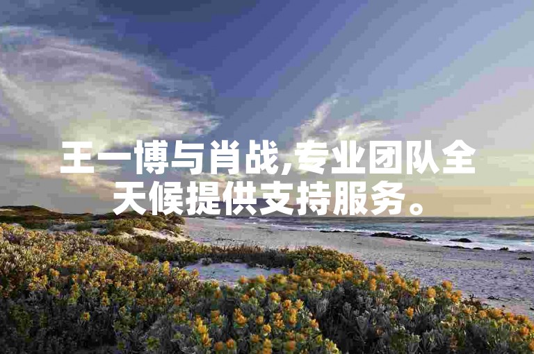 王一博与肖战,专业团队全天候提供支持服务。