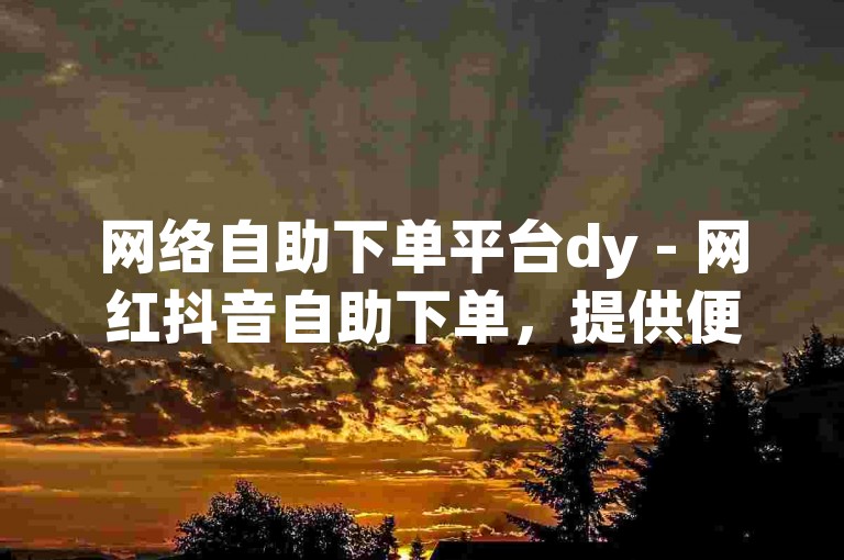 网络自助下单平台dy - 网红抖音自助下单，提供便捷的服务体验。