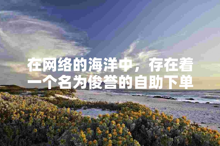 在网络的海洋中，存在着一个名为俊誉的自助下单平台，它以低价和高效为特色，提供快手刷双击服务，仅需一元就能获得100个双击。