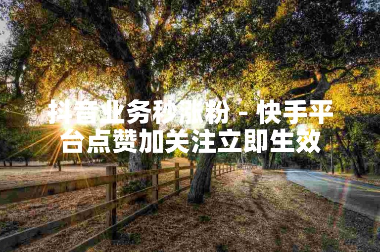 抖音业务秒涨粉 - 快手平台点赞加关注立即生效