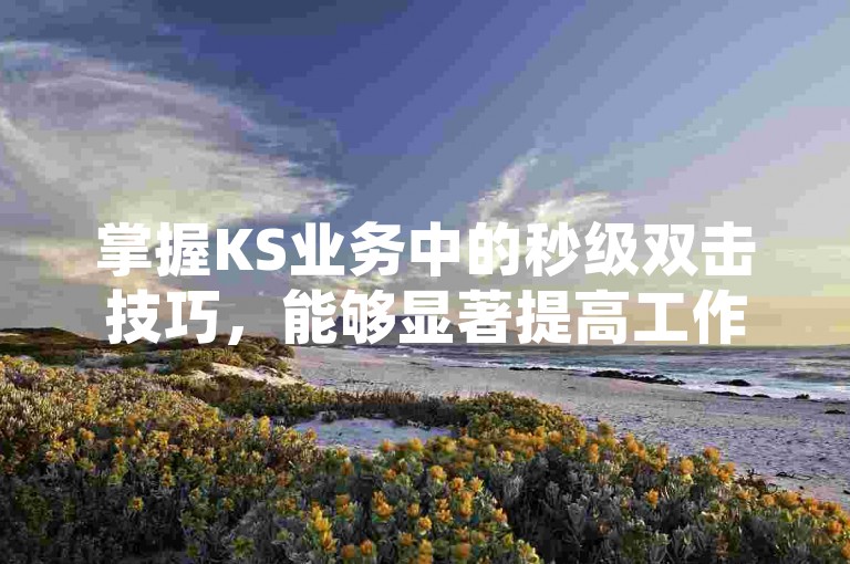 掌握KS业务中的秒级双击技巧，能够显著提高工作效率并优化操作流程。