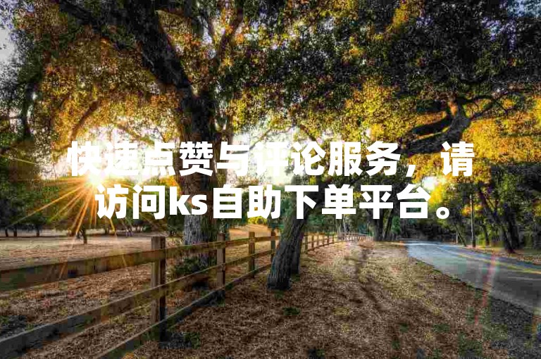 快速点赞与评论服务，请访问ks自助下单平台。