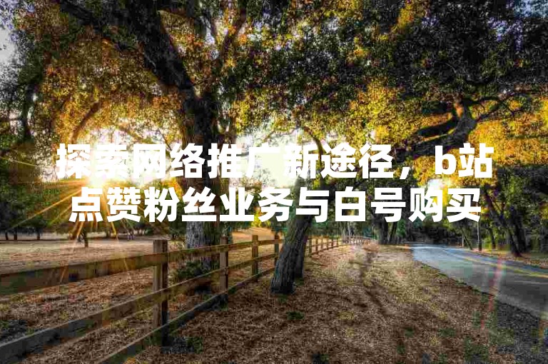 探索网络推广新途径，b站点赞粉丝业务与白号购买，尽在ks推广自助网站，价格实惠。