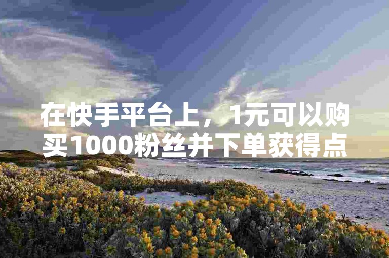 在快手平台上，1元可以购买1000粉丝并下单获得点赞和评论。