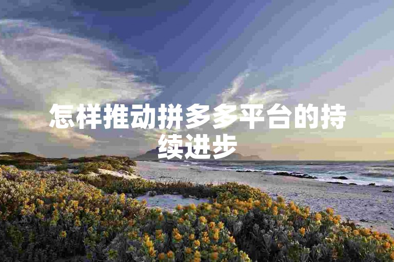 怎样推动拼多多平台的持续进步
