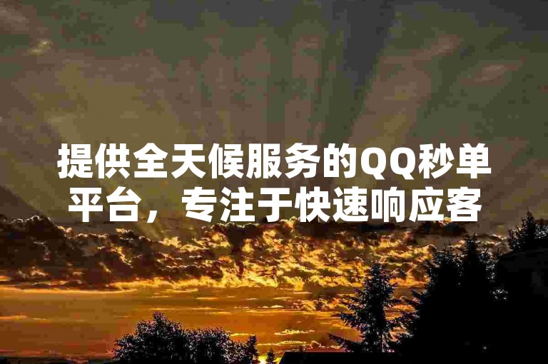 提供全天候服务的QQ秒单平台，专注于快速响应客户需求，实现24小时不间断的点赞和自动下单功能。
