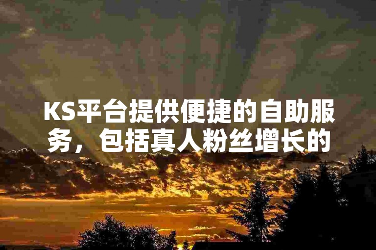 KS平台提供便捷的自助服务，包括真人粉丝增长的低价自助下单选项。