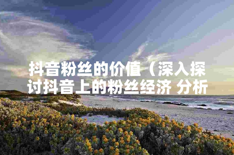 抖音粉丝的价值（深入探讨抖音上的粉丝经济 分析其背后的成本与回报）
