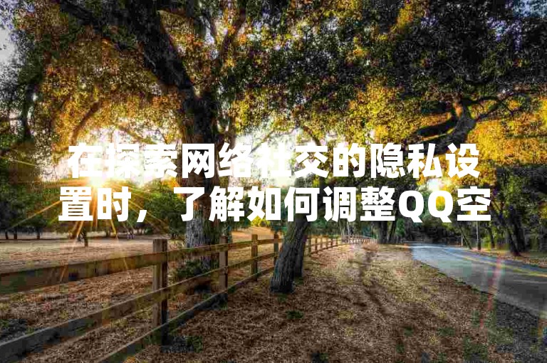 在探索网络社交的隐私设置时，了解如何调整QQ空间的访问权限变得尤为重要。
