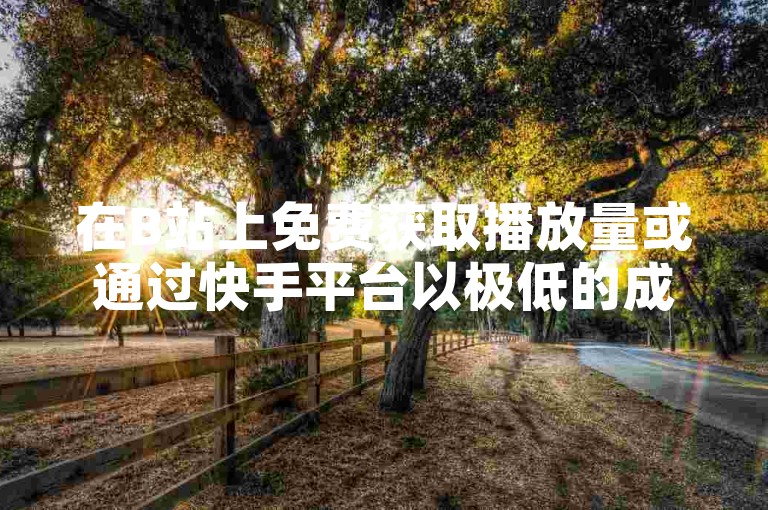 在B站上免费获取播放量或通过快手平台以极低的成本迅速增加粉丝数量，成为了许多人提升社交媒体影响力的捷径。