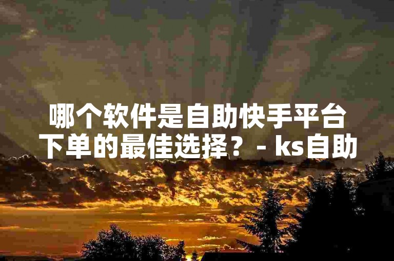哪个软件是自助快手平台下单的最佳选择？- ks自助平台。