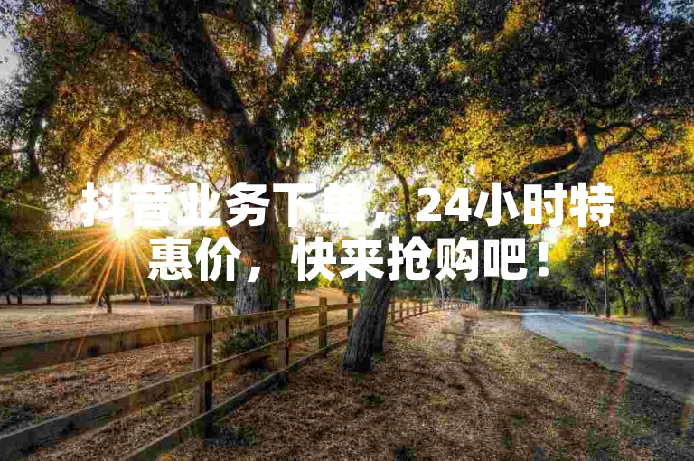 抖音业务下单，24小时特惠价，快来抢购吧！
