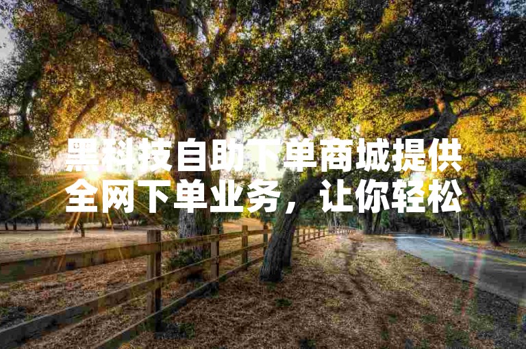 黑科技自助下单商城提供全网下单业务，让你轻松购物。