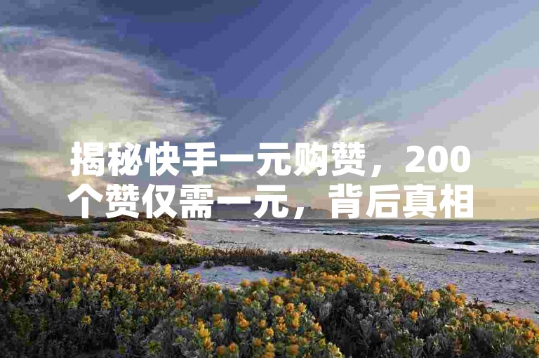揭秘快手一元购赞，200个赞仅需一元，背后真相令人咋舌！