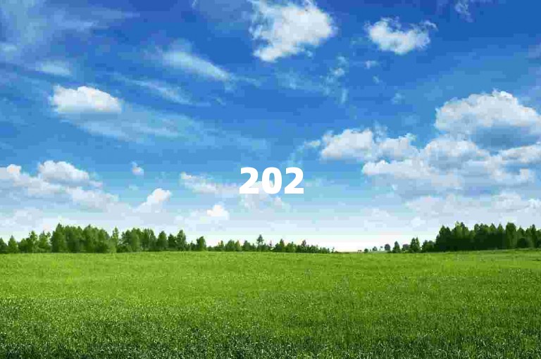 2025年拼多多的互砍互助群是否存在，以及所谓的PDD砍价软件是否真实有效，这些问题的真实性还有待考证。