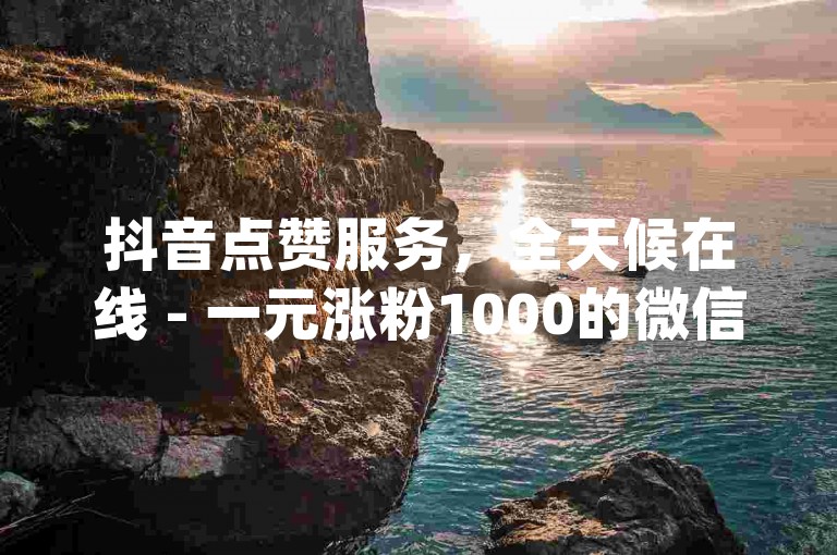 抖音点赞服务，全天候在线 - 一元涨粉1000的微信价格是多少 - qq空间访客量充值