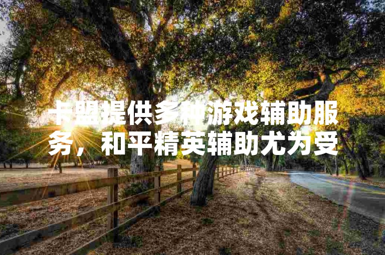 卡盟提供多种游戏辅助服务，和平精英辅助尤为受欢迎，同时其QQ业务平台以低价策略吸引用户。