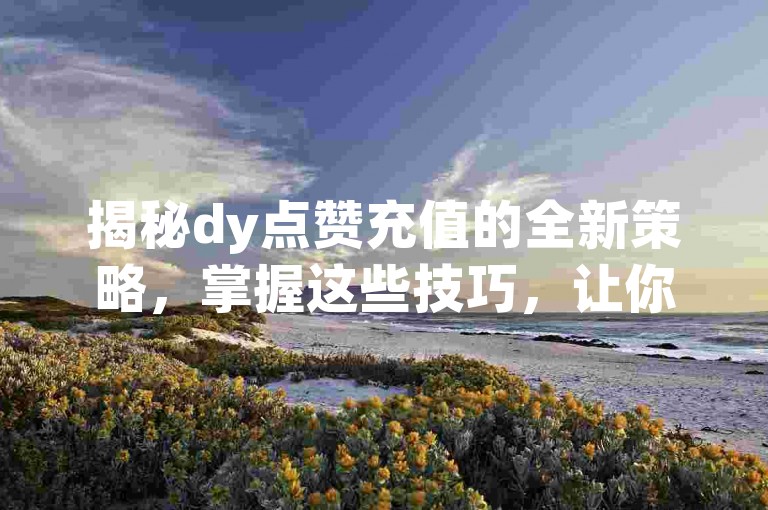 揭秘dy点赞充值的全新策略，掌握这些技巧，让你的dy影响力飙升！2024年必备知识。