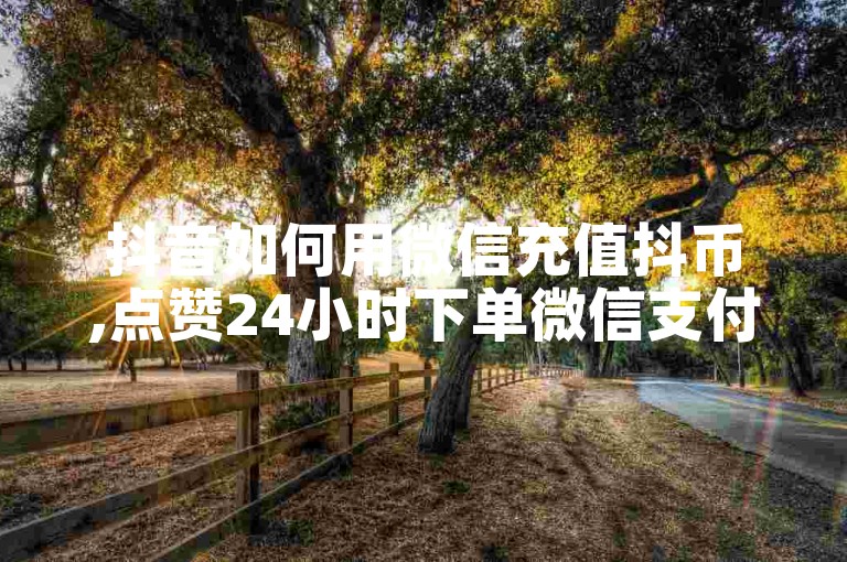 抖音如何用微信充值抖币,点赞24小时下单微信支付抖音 - 免费领浏览量的网站 - 抖币充值为什么苹果贵
