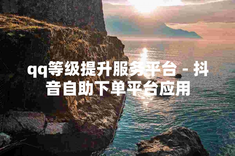 qq等级提升服务平台 - 抖音自助下单平台应用