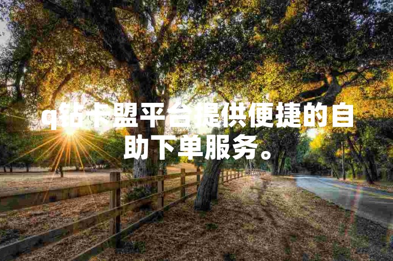 q钻卡盟平台提供便捷的自助下单服务。