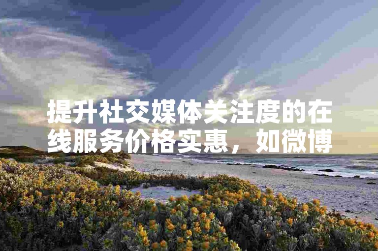 提升社交媒体关注度的在线服务价格实惠，如微博粉丝增长服务。