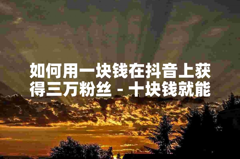 如何用一块钱在抖音上获得三万粉丝 - 十块钱就能在抖音上买到一千个粉丝。