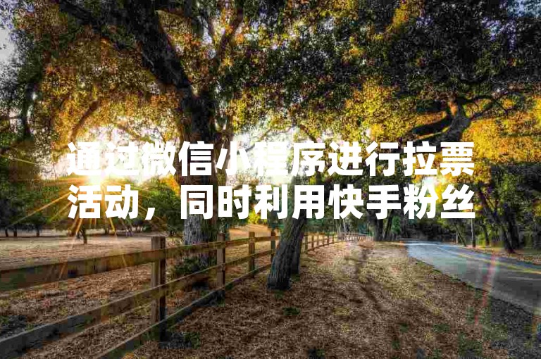 通过微信小程序进行拉票活动，同时利用快手粉丝助手来增加活动的曝光度和参与度。