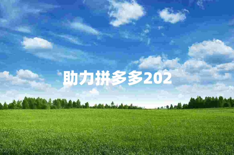 助力拼多多2025年拼多多互助群