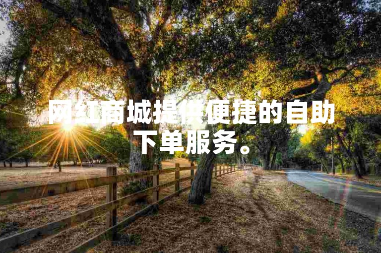 网红商城提供便捷的自助下单服务。