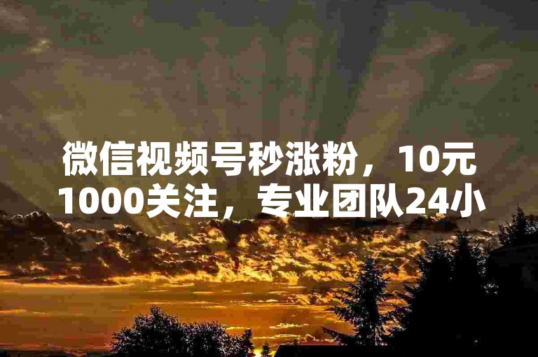 微信视频号秒涨粉，10元1000关注，专业团队24小时服务。