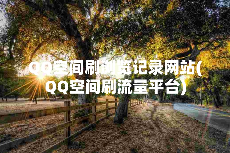 QQ空间刷浏览记录网站(QQ空间刷流量平台)
