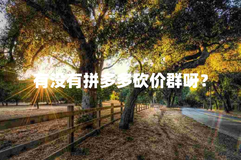 有没有拼多多砍价群呀？