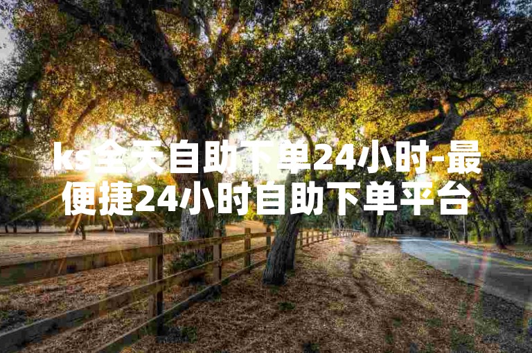 ks全天自助下单24小时-最便捷24小时自助下单平台推荐