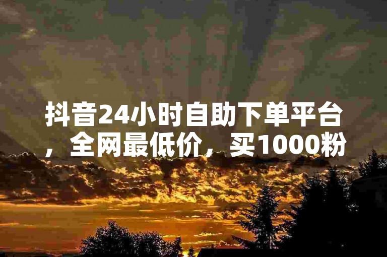抖音24小时自助下单平台，全网最低价，买1000粉丝仅需240元，性价比超高！