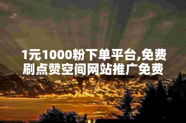 1元1000粉下单平台,免费刷点赞空间网站推广免费