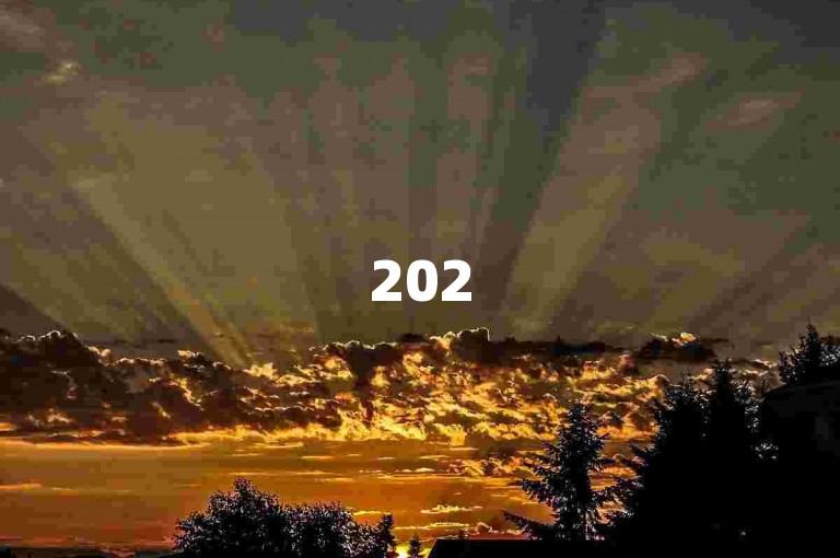 2025年，拼多多真实互助群将助力更多用户享受优惠购物的乐趣。