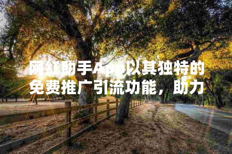 网红助手App以其独特的免费推广引流功能，助力用户轻松提升社交媒体影响力。