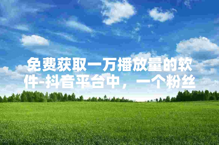 免费获取一万播放量的软件-抖音平台中，一个粉丝的价值相当于多少人民币？