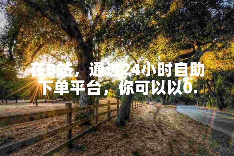 在B站，通过24小时自助下单平台，你可以以0.5元的优惠价格获得1000个赞。