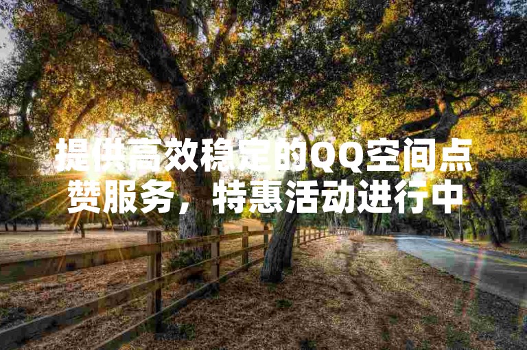 提供高效稳定的QQ空间点赞服务，特惠活动进行中，速来体验超值优惠！