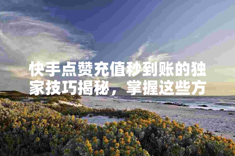 快手点赞充值秒到账的独家技巧揭秘，掌握这些方法，让你2024年轻松实现快速充值秒到账！