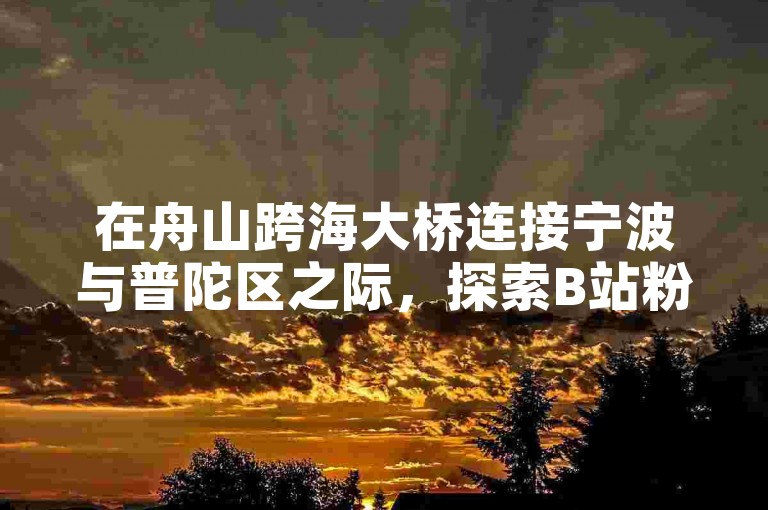 在舟山跨海大桥连接宁波与普陀区之际，探索B站粉丝增长的卡盟服务，同时发现性价比高的抖音推广平台。