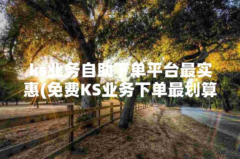 ks业务自助下单平台最实惠(免费KS业务下单最划算)
